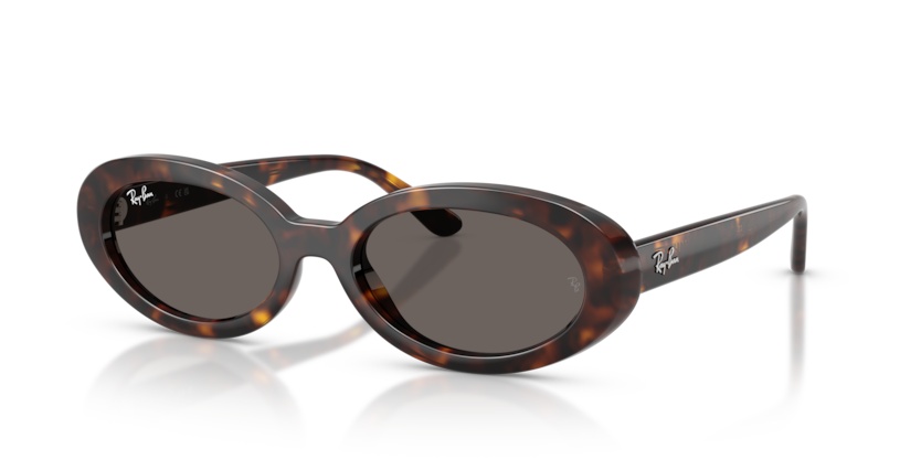 rayban RB2223